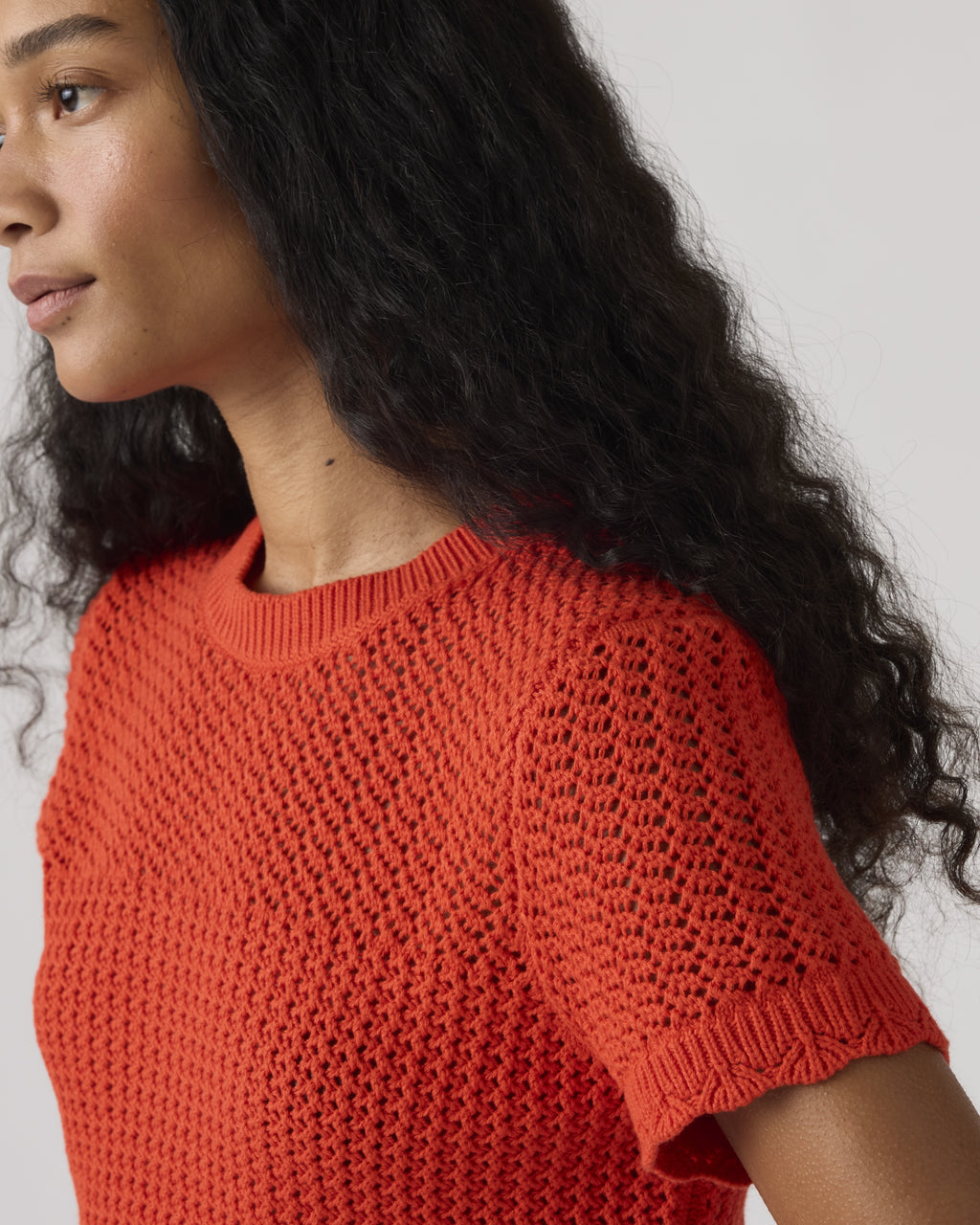 Isabelle Crochet Short Sleeve Sweater