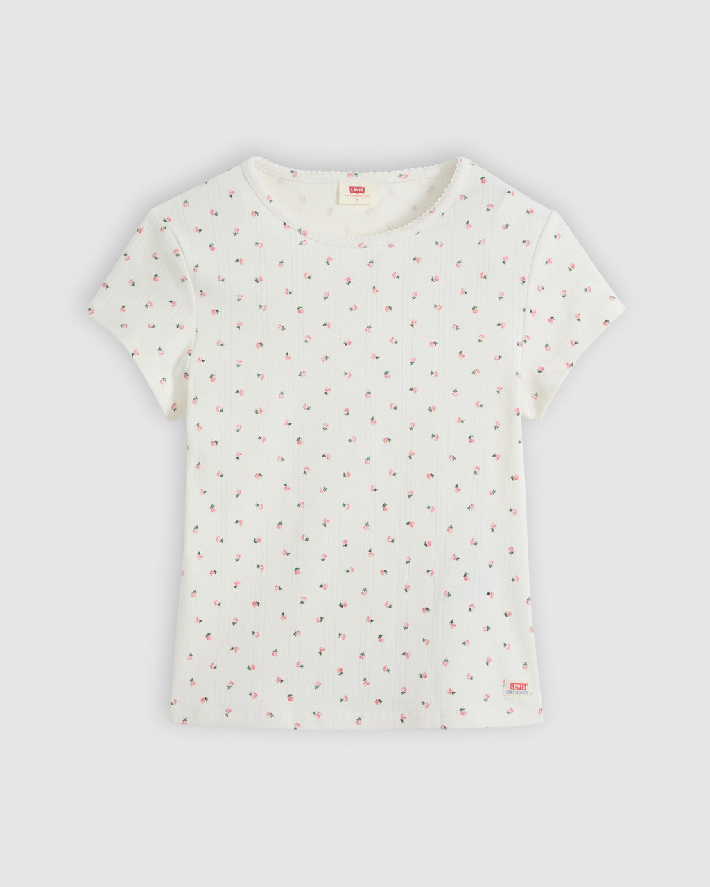 Dry Goods Short Sleeve Tee
